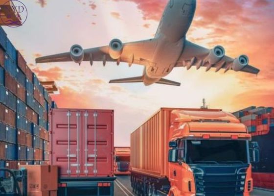 Sea DDP DDU Freight Forwarding From China To Italy International Freight Forwarder